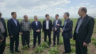 بازدید معاون وزیر و رئیس سازمان تات از مزرعه تولید بذر چغندرقند بخش خصوصی اردبیل