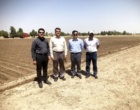 بازدید معاونت پژوهشی موسسه از بخش تحقیقات چغندرقند استان خراسان‌رضوی