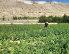 گزارش تصویری از ایستگاه تحقیقات فیروزکوه