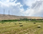 گزارش تصویری از ایستگاه تحقیقات فیروزکوه