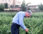 بازدید ریاست موسسه از ایستگاه تولید بذر الیت چغندرقند فیروزکوه