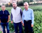 بازدید ریاست موسسه از ایستگاه تولید بذر الیت چغندرقند فیروزکوه
