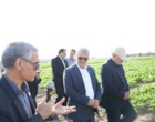 بازدید معاون وزیر و رییس سازمان تحقیقات، آموزش و ترویج کشاورزی از مزراع تحقیقاتی موسسه تحقیقات چغندرقند