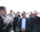 از تنوع ژنتیکی تا تولید هیبریدهای مقاوم؛ آغاز مسیر خلق نسل جدید ارقام چغندرقند