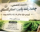 نشست تخصصی هم‌اندیشی و  برنامه‌ریزی کشت چغندرقند پاییزه در استان گلستان