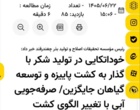 خوداتکایی در تولید شکر با گذار به کشت پاییزه و توسعه گیاهان جایگزین/ صرفه‌جویی آبی با تغییر الگوی کشت چغندر محقق شد