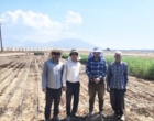 عملیات کاشت قطعه پست کنترل نرعقیمی و منوژرمی لاین ها و هیبریدهای اصلاحی چغندرقند