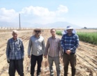 عملیات کاشت قطعه پست کنترل نرعقیمی و منوژرمی لاین ها و هیبریدهای اصلاحی چغندرقند