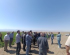 مراسم روز مزرعه استانی چغندرقند در شهرستان تربت‌جام