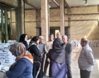 بازدید ریاست موسسه از فعالیت‌های ایستگاه تحقیقات مهندس مطهری