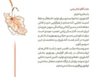 تقدیر وزیر جهاد کشاورزی از ریاست مؤسسه تحقیقات اصلاح و تهیه بذر چغندرقند