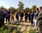 روز انتقال یافته‌های تحقیقاتی الگوهای نوین کشت چغندرقند و معرفی گیاه چیکوری