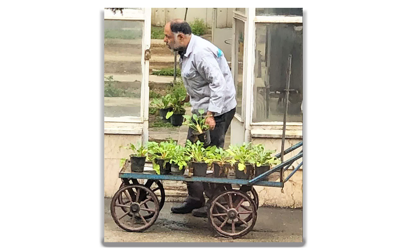 عکس روز ، ۲۵  اسفند ۱۴۰۴