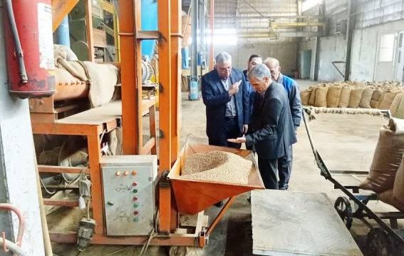 بازدید رییس موسسه از کارخانه بوجاری و فرآوری بذر اردبیل