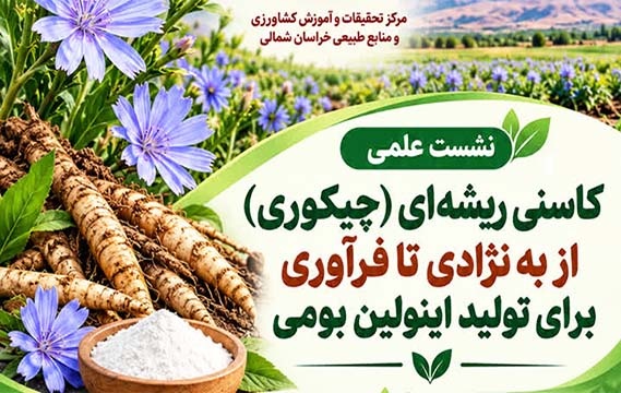 برگزاری نشست علمی در خصوص کاسنی ریشه ای (چیکوری) از به نژادی تا فراوری برای تولید اینولین بومی