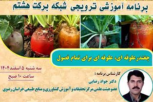 برنامه آموزشی و ترویجی در شبکه برکت هشتم با عنوان "چغندر علوفه ایی برای تمام فصول"