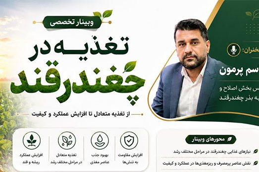وبینار تخصصی تغذیه در چغندرقند