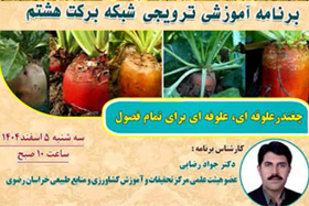 برنامه آموزشی و ترویجی  در شبکه برکت هشتم با عنوان "چغندر علوفه ایی برای تمام فصول"