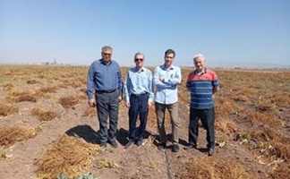 بازدید رئیس موسسه از قطعات تولید بذر چغندرقند در اردبیل