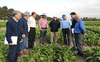 بازدید از طرح‌های آزمایشی چغندرقند و شیرین کننده های دارویی در ایستگاه تحقیقاتی مرحوم عبدالرسول مطهری