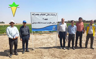 دیدار اعضای گروه ارزشیابی موسسه تحقیقات اصلاح و تهیه بذر چغندرقند با رئیس مرکز تحقیقات و آموزش کشاورزی و منابع طبیعی خراسان رضوی