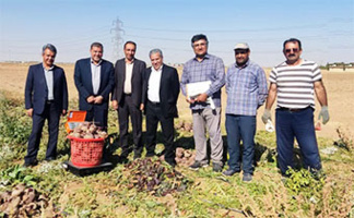 بازدید معاونت برنامه ریزی و امور اقتصادی سازمان تات از لاین های اصلاحی چغندر لبویی