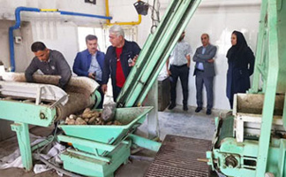 کارخانجات قند استان خراسان زیر نظارت کارشناسان و متخصصان موسسه