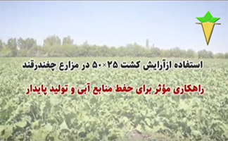 استفاده از آرایش کاشت ۲۵×۵۰ چغندرقند