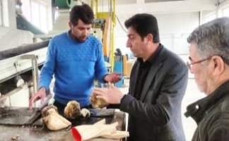 بازدید و نظارت فنی بر واحد تحویل و عیارسنجی کارخانه قند مهاباد استان آذربایجان غربی