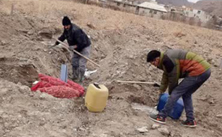 اجرای عملیات سیلو ریشه چه های سال اول ارسالی از ایستگاه مهندس مطهری به ایستگاه تحقیقات فیروزکوه