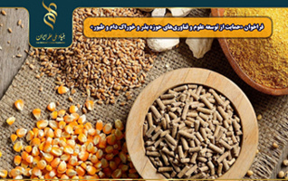 اعلام فراخوان «حمایت از توسعه علوم و فناوری‌های حوزه بذر و خوراک دام و طیور»