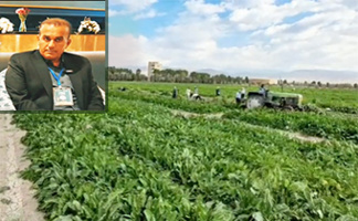 چغندرقندکار پاییزه و نمونه کشور توضیح میدهد