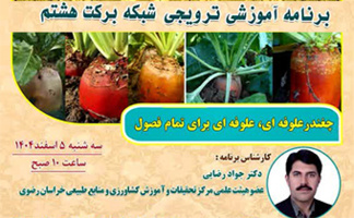 برنامه آموزشی و ترویجی  در شبکه برکت هشتم با عنوان "چغندر علوفه ایی برای تمام فصول"