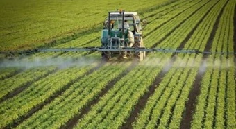 تلاش بی وقفه محققان تات برای کاشت گندم و چغندر در شرایط جنگی