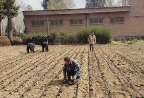 کاشت قطعات اصلاحی ایزوله