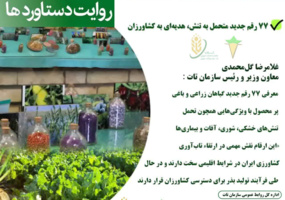 ۷۷ رقم متحمل به تنش هدیه ای به کشاورزی