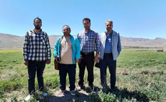 بازدید از مزارع تولید بذر الیت چغندرقند ایستگاه فیروزکوه
