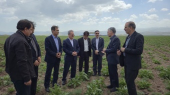 بازدید معاون وزیر و رئیس سازمان تات از مزرعه تولید بذر چغندرقند بخش خصوصی اردبیل