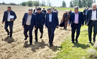 میاندوآب؛ کانون ارزیابی ارقام هیبرید جدید چغندرقند داخلی و خارجی