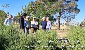 بازدید ریاست و معاونین موسسه تحقیقات چغندرقند از قطعه تولید بذر هیبرید دو مقاومته تجارتی