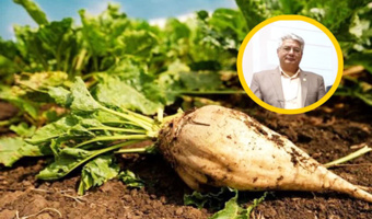 تولید شکر بیشترین شانس را برای دستیابی به خوداتکایی پایدار دارد