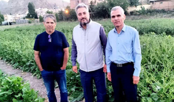 بازدید ریاست موسسه از ایستگاه تولید بذر الیت چغندرقند فیروزکوه