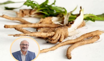 کاربردهای چیکوری در صنایع غذایی؛ از لبنیات تا نان و محصولات فراسودمند