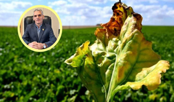 مدیریت تلفیقی؛ راهکار عبور از محدودیت کنترل بیماری‌های خاکزاد
