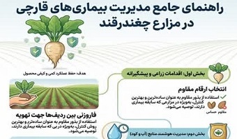 اینفوگرافی ، راهنمای جامع مدیریت بیماری‌های قارچی در مزارع چغندر قند