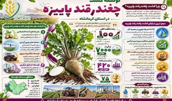 کشت پاییزه چغندرقند، راهکاری مؤثر برای صرفه‌جویی آب و توسعه کشاورزی پایدار