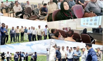 کارگاه آموزشی آشنایی با آفات و بیماری‌های رایج چغندرقند در اقلید فارس
