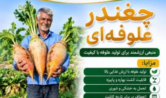 چغندرعلوفه‌ای؛ علوفه‌ای با ارزش غذایی بالا، اصلاح الگوی کشت و افزایش بهره‌وری آب