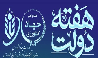 هفته دولت، یادآور مجاهدت شهیدان رجایی و باهنر و فرصتی برای قدردانی از تلاش همه خدمتگزاران کشور است.