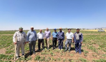 بازدید از مزارع چغندرقند رشتخوار